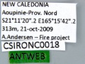 CSIRONC0018 label.jpg