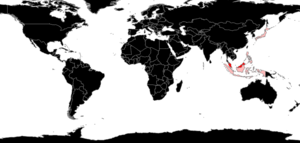 Anomalomyrma Species Richness.png