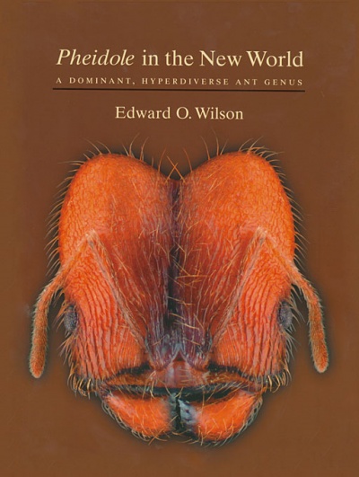 Wilson Pheidole 2003.jpg