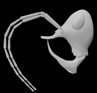 3D-model-of-Linguamyrmex-vladi-ant.jpg