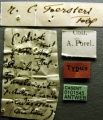 Specimen labels