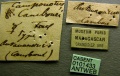 Specimen labels