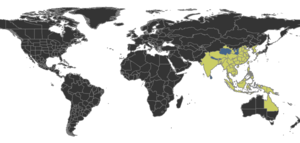 Ectomomyrmex Distribution.png